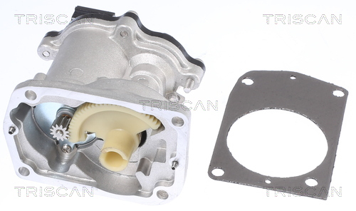 TRISCAN 8813 16201 AGR-Ventil