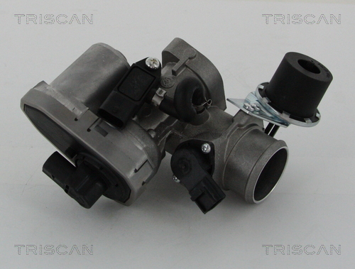 TRISCAN 8813 16202 AGR-Ventil