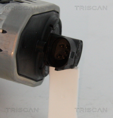 TRISCAN 8813 16202 AGR-Ventil