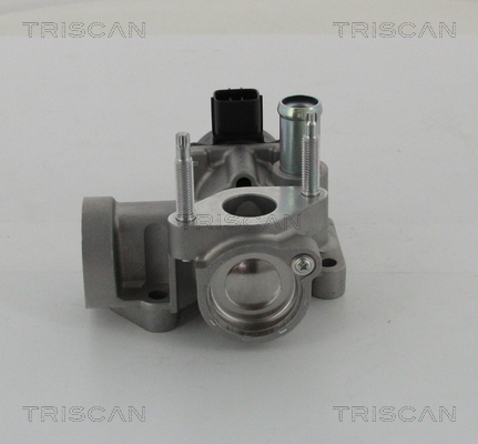 TRISCAN 8813 16203 AGR-Ventil