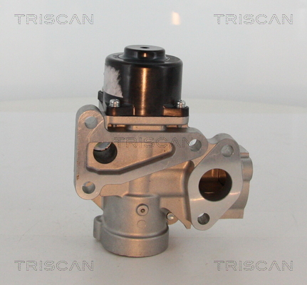 TRISCAN 8813 16203 AGR-Ventil