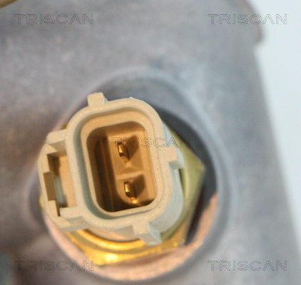 TRISCAN 8813 16212 Agr-Ventil