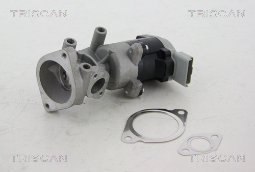 TRISCAN 8813 17008 Agr-Ventil