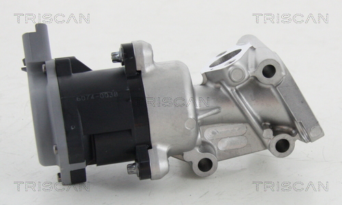 TRISCAN 8813 17016 Agr-Ventil