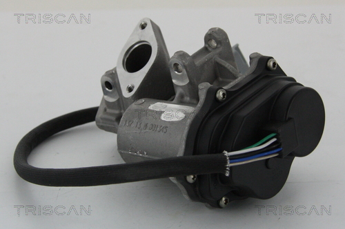 TRISCAN 8813 17019 AGR-Ventil