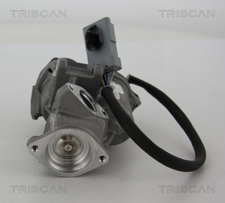 TRISCAN 8813 17019 AGR-Ventil