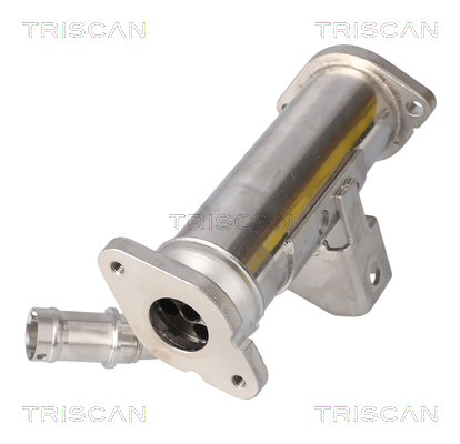 TRISCAN 8813 17101 Kühler, Abgasrückführung