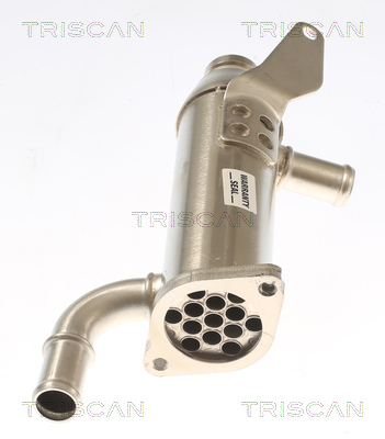 TRISCAN 8813 17103 Kühler, Abgasrückführung