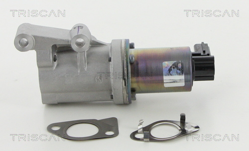 TRISCAN 8813 18038 AGR-Ventil