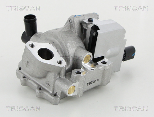 TRISCAN 8813 18046 AGR-Ventil
