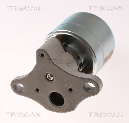 TRISCAN 8813 21026 AGR-Ventil