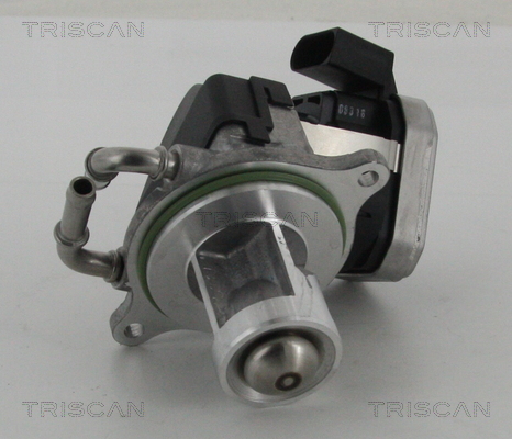 TRISCAN 8813 23002 Agr-Ventil