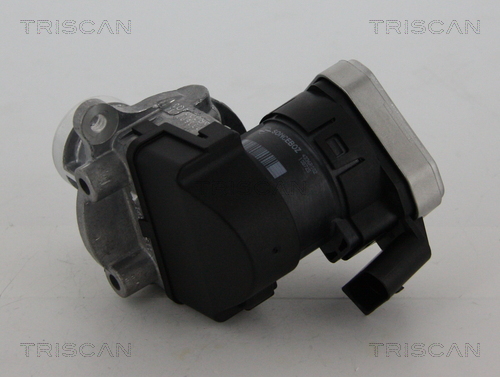 TRISCAN 8813 23004 AGR-Ventil