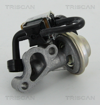 TRISCAN 8813 23005 AGR-Ventil