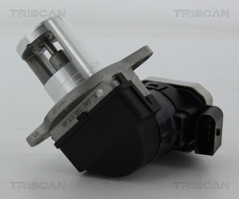 TRISCAN 8813 23006 AGR-Ventil