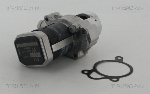 TRISCAN 8813 23010 AGR-Ventil