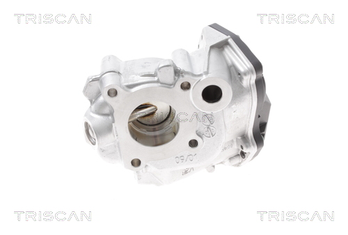 TRISCAN 8813 23015 AGR-Ventil