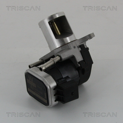 TRISCAN 8813 23016 Agr-Ventil