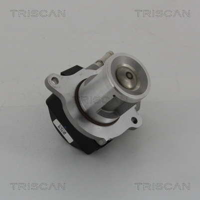 TRISCAN 8813 23016 AGR-Ventil