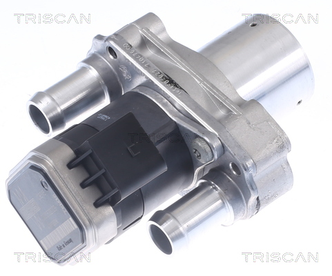 TRISCAN 8813 23019 AGR-Ventil