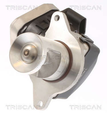 TRISCAN 8813 23021 AGR-Ventil