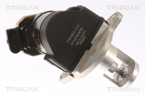 TRISCAN 8813 23021 AGR-Ventil