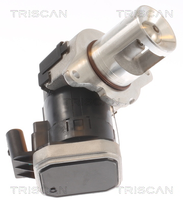 TRISCAN 8813 23021 AGR-Ventil