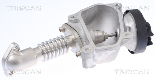 TRISCAN 8813 23024 AGR-Ventil