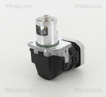 TRISCAN 8813 23025 Agr-Ventil