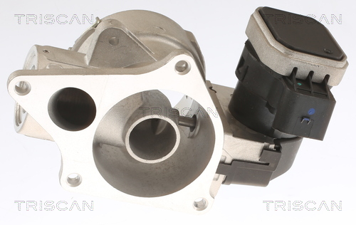 TRISCAN 8813 23033 AGR-Ventil