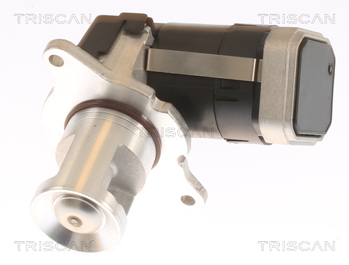 TRISCAN 8813 23036 AGR-Ventil