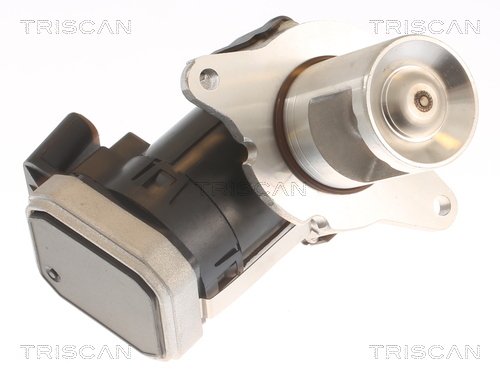 TRISCAN 8813 23036 AGR-Ventil