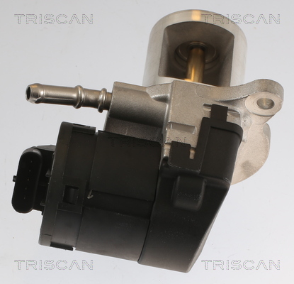TRISCAN 8813 23040 AGR-Ventil