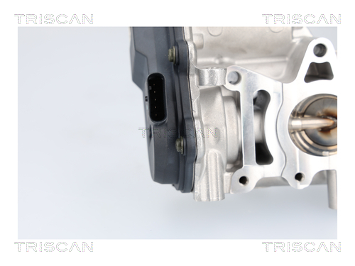 TRISCAN 8813 23041 AGR-Ventil