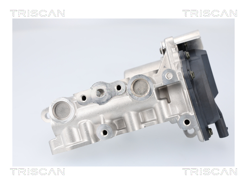TRISCAN 8813 23041 AGR-Ventil