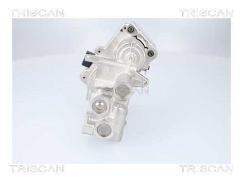 TRISCAN 8813 23041 AGR-Ventil