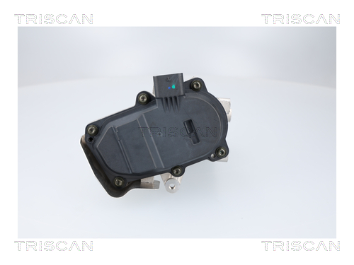TRISCAN 8813 23041 AGR-Ventil