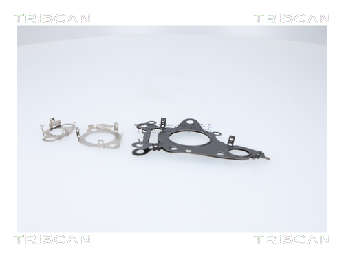 TRISCAN 8813 23041 AGR-Ventil
