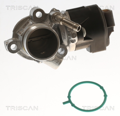 TRISCAN 8813 23042 AGR-Ventil