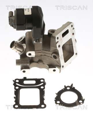 TRISCAN 8813 23043 AGR-Ventil