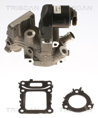 TRISCAN 8813 23043 AGR-Ventil