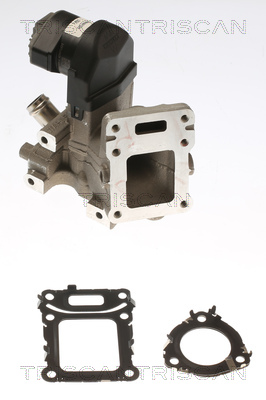 TRISCAN 8813 23043 AGR-Ventil