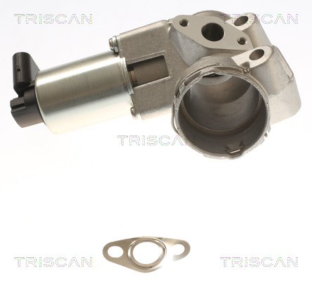 TRISCAN 8813 23044 AGR-Ventil