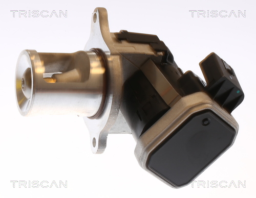 TRISCAN 8813 23101 AGR-Ventil