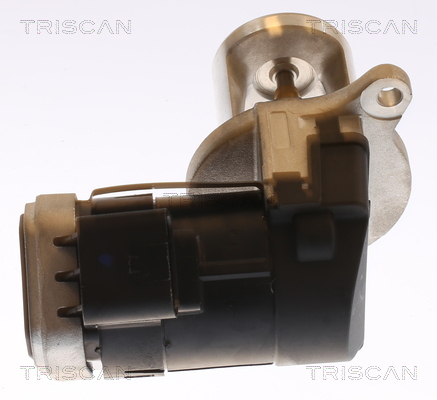 TRISCAN 8813 23101 AGR-Ventil