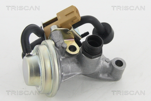 TRISCAN 8813 23205 Agr-Ventil