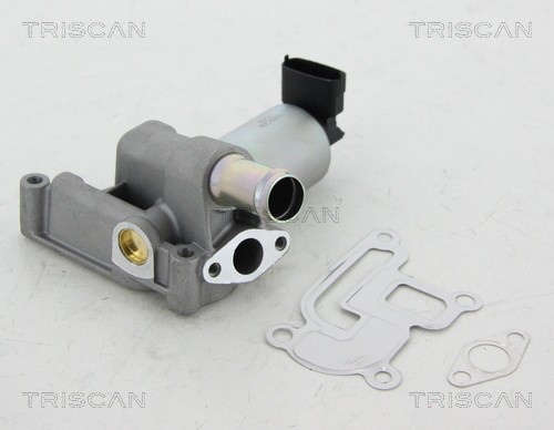 TRISCAN 8813 24001 AGR-Ventil
