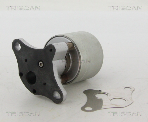 TRISCAN 8813 24004 Agr-Ventil