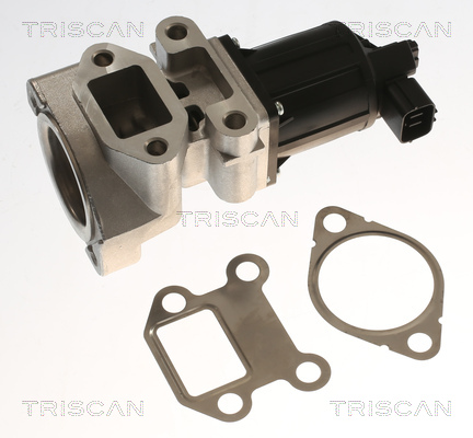 TRISCAN 8813 24018 AGR-Ventil