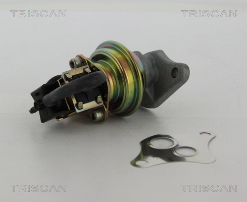 TRISCAN 8813 24025 Agr-Ventil